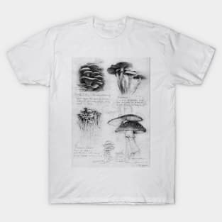 Mushrooms T-Shirt